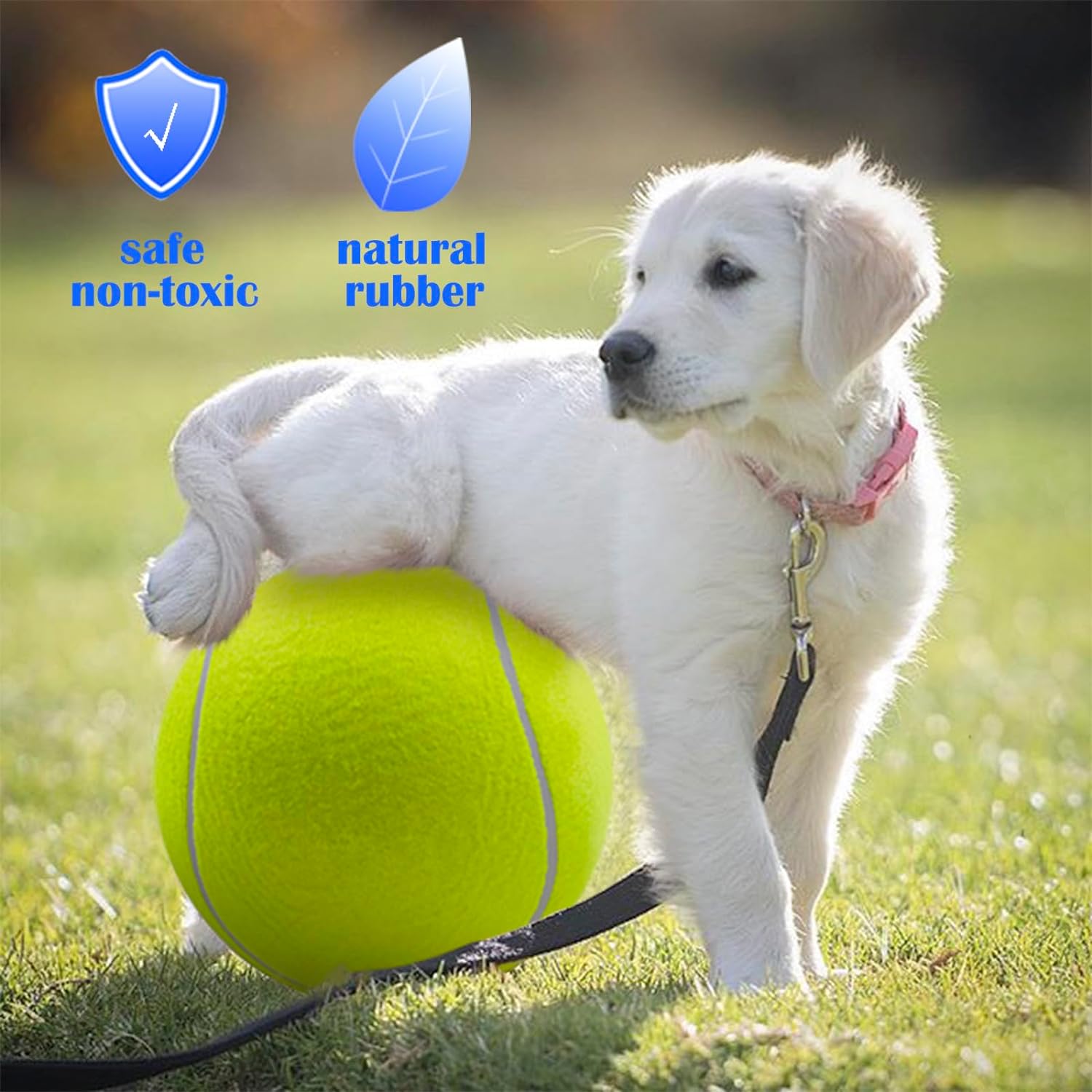 Banfeng Giant 9.5 Dog Tennis Ball Large Pet Toys Funny Outdoor Sports Ball Gift with Inflating Needles for Small Medium Large Dog