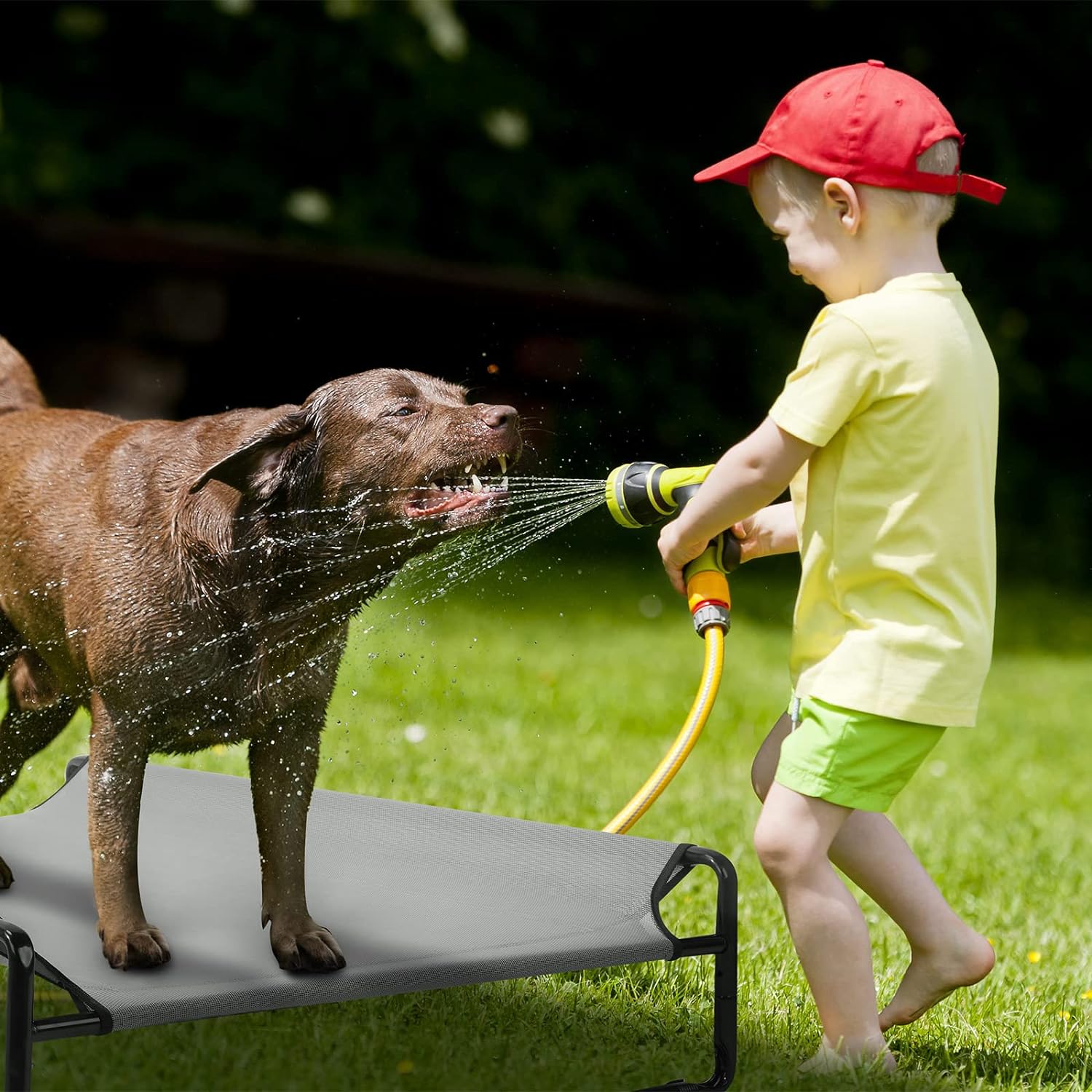 Veehoo Original Cooling Elevated Dog Bed, Outdoor Raised Dog Cots Bed for Large Dogs, Portable Standing Pet Bed with Washable Breathable Mesh, No-Slip Feet for Indoor Outdoor, XX-Large, Black, CWC2201