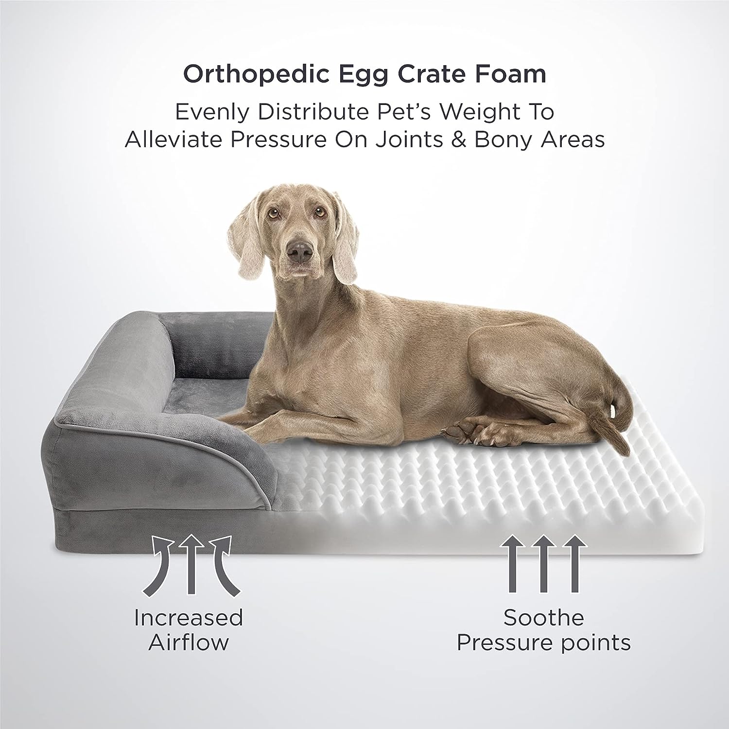 Bedsure Jumbo Orthopedic Dog Bed Review Great Dane Supplies