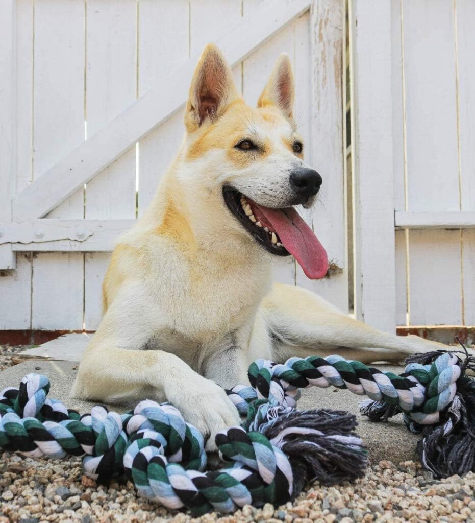 Giant Dog Rope Toys for Extra Large Dogs - 42 Inch, 6 Knot Tough Rope Chew Toys for Large Dogs - Benefits Non-Profit Animal Rescue - Indestructible Dog Toy for Aggressive Chewers and Large Dog Breeds