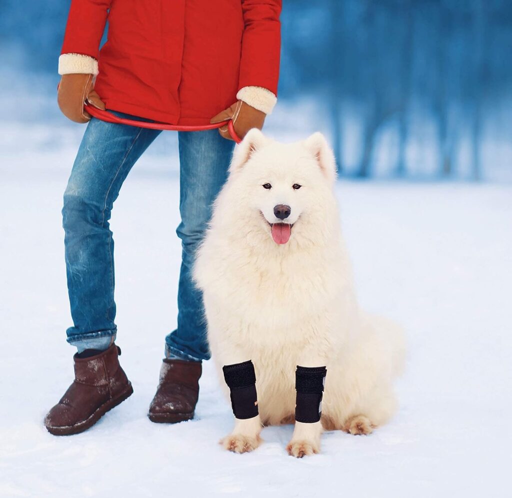 Pair of NeoAlly Dog Front Leg Braces Canine Carpal Support with Safety Reflective Straps for Front Hock, Cruciate Ligament, Wound Wrap and Loss of Stability from Arthritis (L/XL Pair)