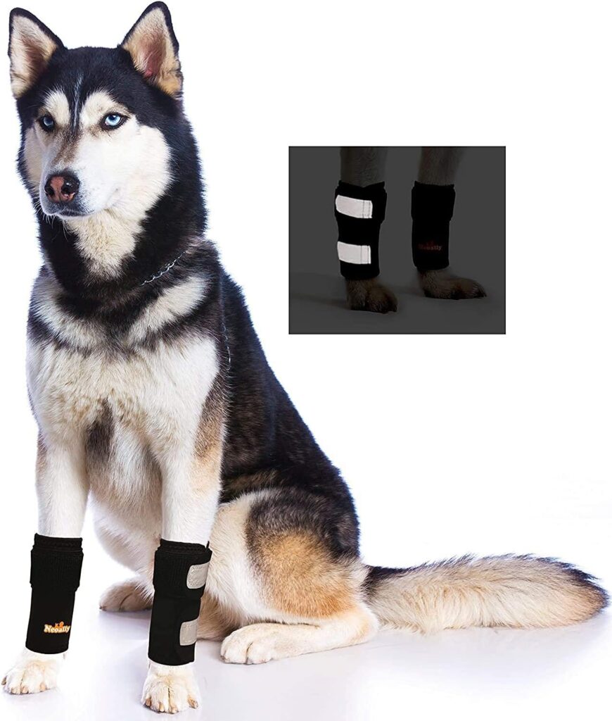 Pair of NeoAlly Dog Front Leg Braces Canine Carpal Support with Safety Reflective Straps for Front Hock, Cruciate Ligament, Wound Wrap and Loss of Stability from Arthritis (L/XL Pair)