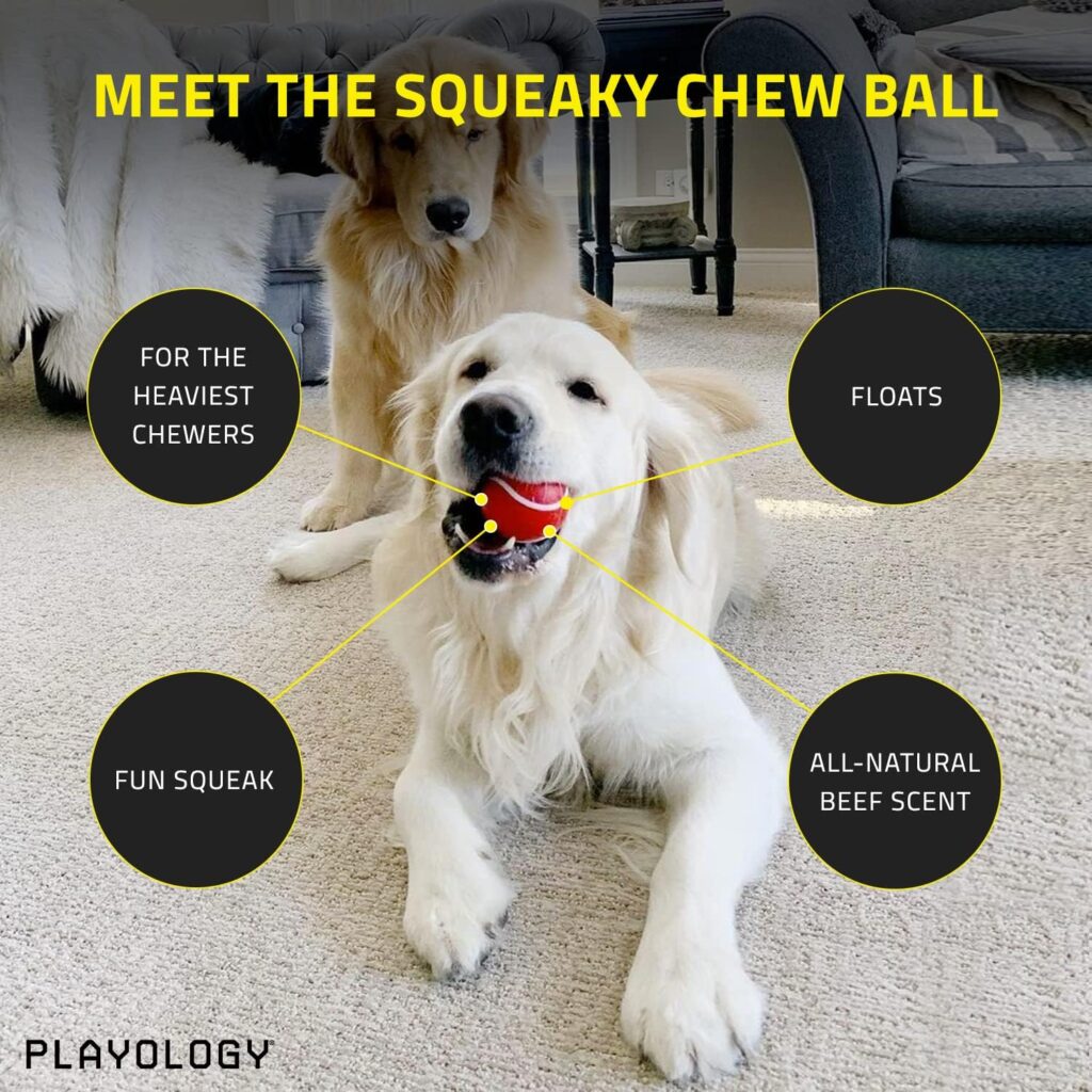 Playology Squeaky Chew Ball Dog Toy, for Extra Large Dogs (50lbs and Up) - for Heaviest Chewers - Engaging All-Natural Beef Scented Toy - Non-Toxic Materials