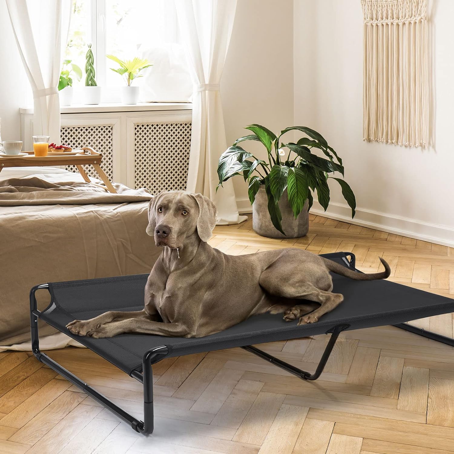 Veehoo Original Cooling Elevated Dog Bed Review Great Dane Supplies